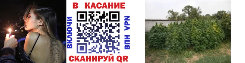 Виды наркоты Бирюсинск Каннабис СК hydra как войти Гашиш