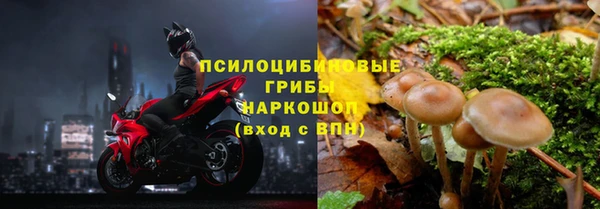 а пвп мука Балабаново
