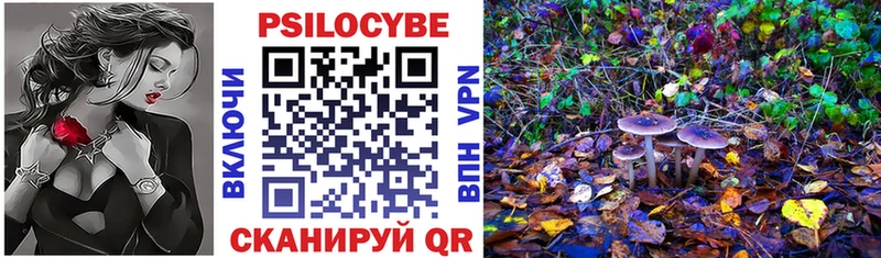 shop Telegram  Бирюсинск  Псилоцибиновые грибы Psilocybe  OMG зеркало 
