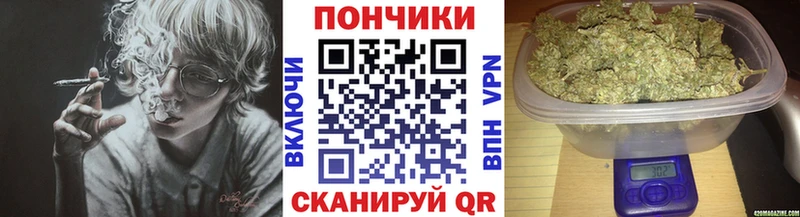 где купить наркоту Бирюсинск Марихуана сатива
